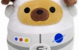 SOME of my favorite squishmallows