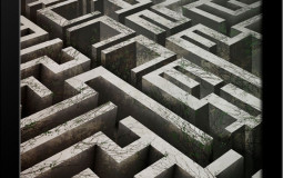 Who is the best (maze runner)