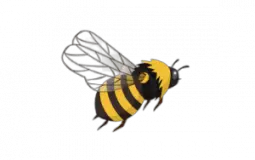 Books I've Read This Year