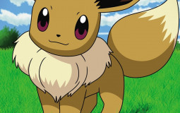 Pokemon anime