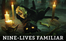 MTG Cats