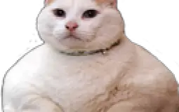 st staff member tierlist