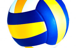 Overwatch Volleyball 0.0.0