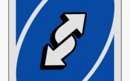 רמות סדר חיים