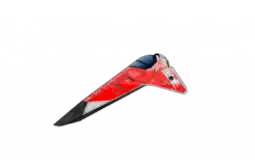 BNG