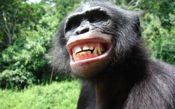 Personne Discord Tristan