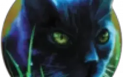 Warrior Cats Rankings