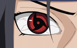 Akatsuki Ranking