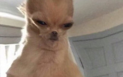 my favorite/least favorite