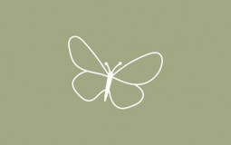 levels of attractive