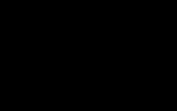 CLASSIC WHITE SNEAKERS