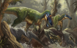 Spinosaurids