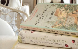 books I've read this year