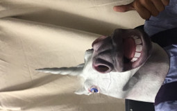 King Vs Females Tier List