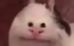 Best Anime Ops