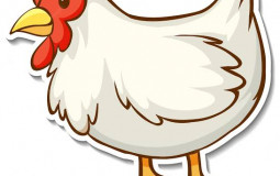 All Chicken breeds