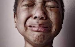 Green Falcon's Solo Survival Series