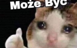 Magowie