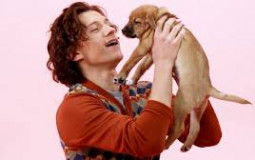 tom holland edits ;)