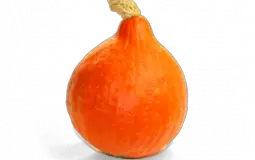 tier list gens du serv