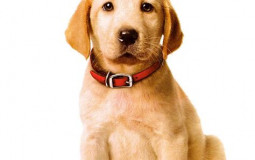 Movies that made me cry