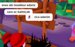 maina yetkilişko