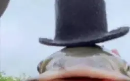 My friends discord ranking