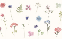 Ranking biology tests