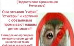 Aopg rarity tier list v2