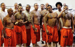 Celebrities/Popular people in jail fight