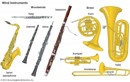 Best Musical Instruments