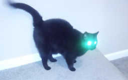 The Everything Tier List