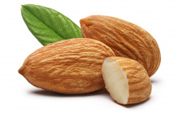 nononoiooonononnopnoonon