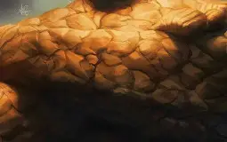 Fav