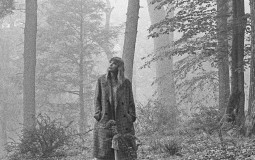 folklore by Taylor Swift: album ranking!