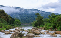 Sing thee yed mun thee sut