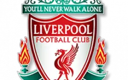 Liverpool signings since Jan 2011