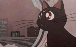 Character and IRL ppl