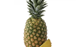 Fruits