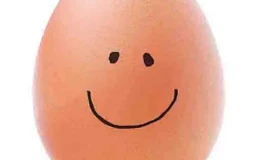 LoL EloZelo team main