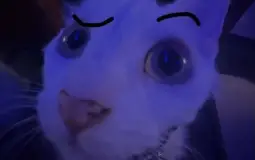 cosos que tengo en mi galería