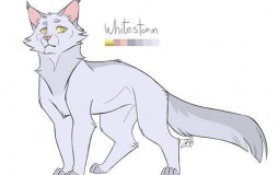 Warrior cats