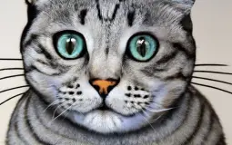 Network Equipment Manufacturer