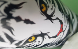 srbija rangiranje kuraca