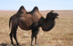 xxxxxxxxxxxxxxxxxxxxxxxxxxxxx