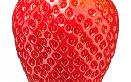 les fruits et legumes