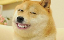 best at Randomizer (V.0.2.0d)