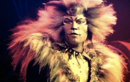 Cats Musical Tier List