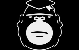 Degen Ape Skin Tier list