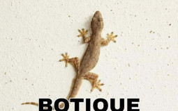 that filipino meme or something